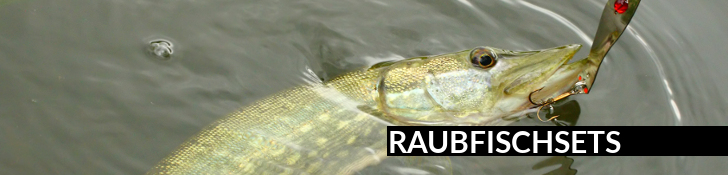 Raubfischsets